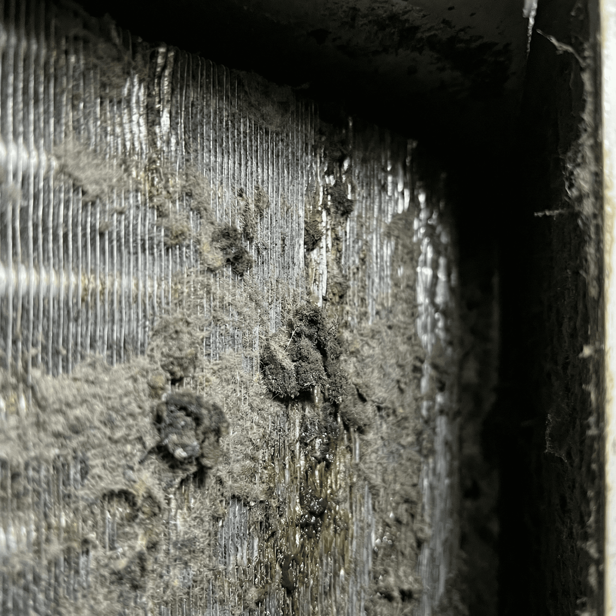 真っ黒な汚水が出る洗浄前。ホコリとカビが密集。